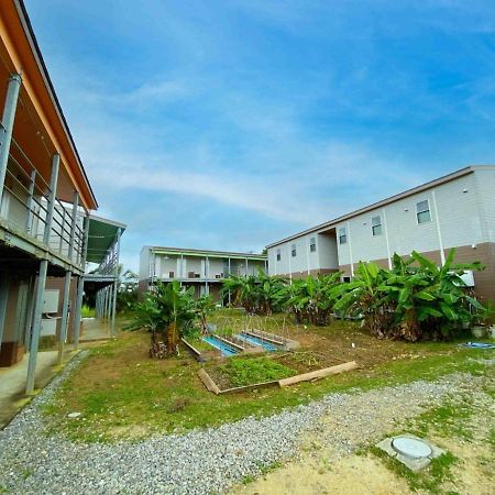 House&Cafe Green Terrace - Vacation Stay 69610V Ishigaki  Dış mekan fotoğraf